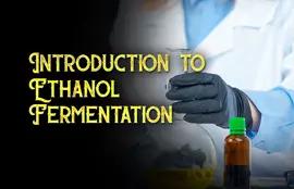 Introduction to Ethanol Fermentation